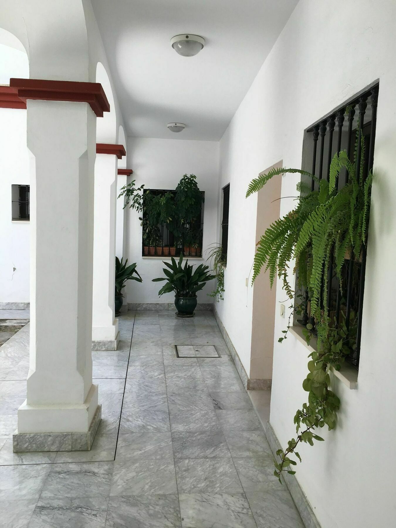 Teodosio Apartment Free Parking & Central Ac Séville Extérieur photo